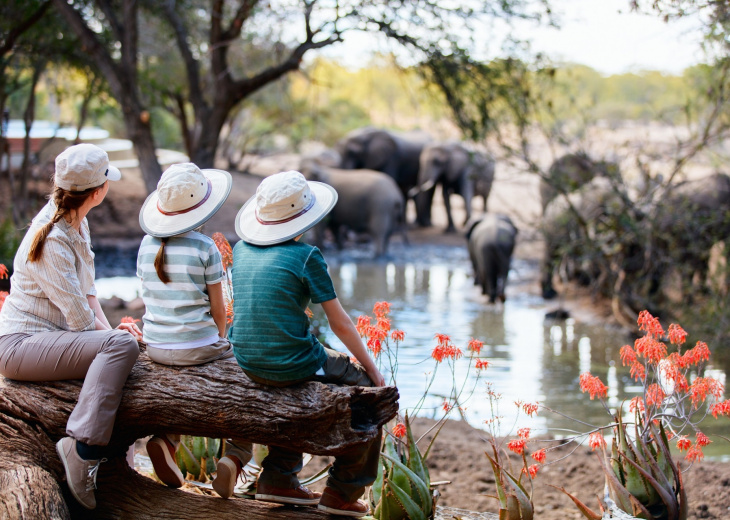 famille safari elephants devant lac tanzanie