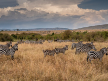 Ngorongoro Karatu