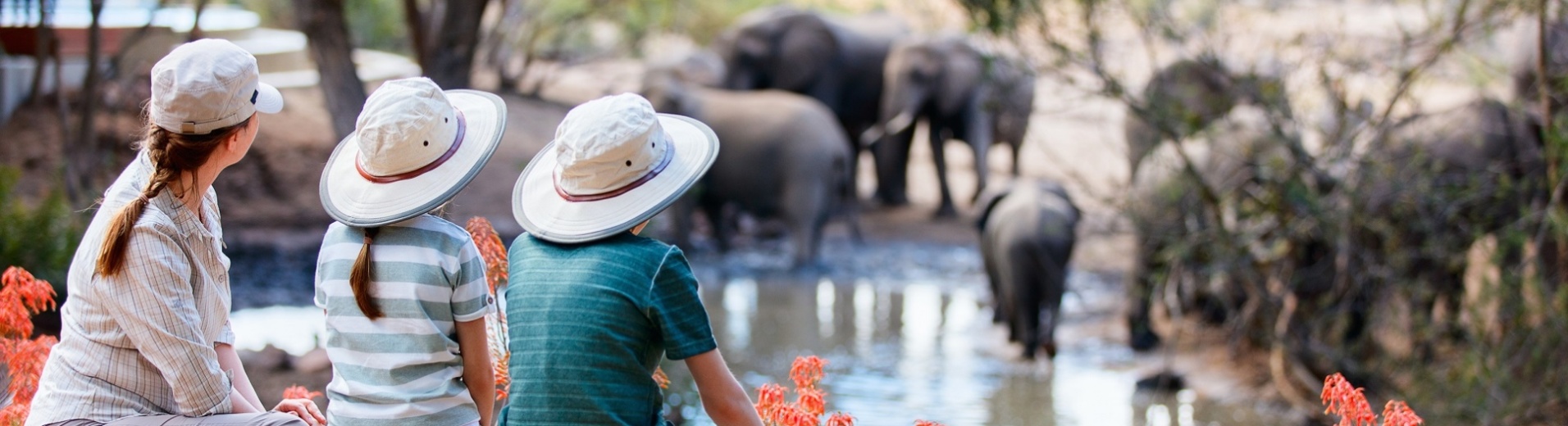 famille safari elephants devant lac tanzanie