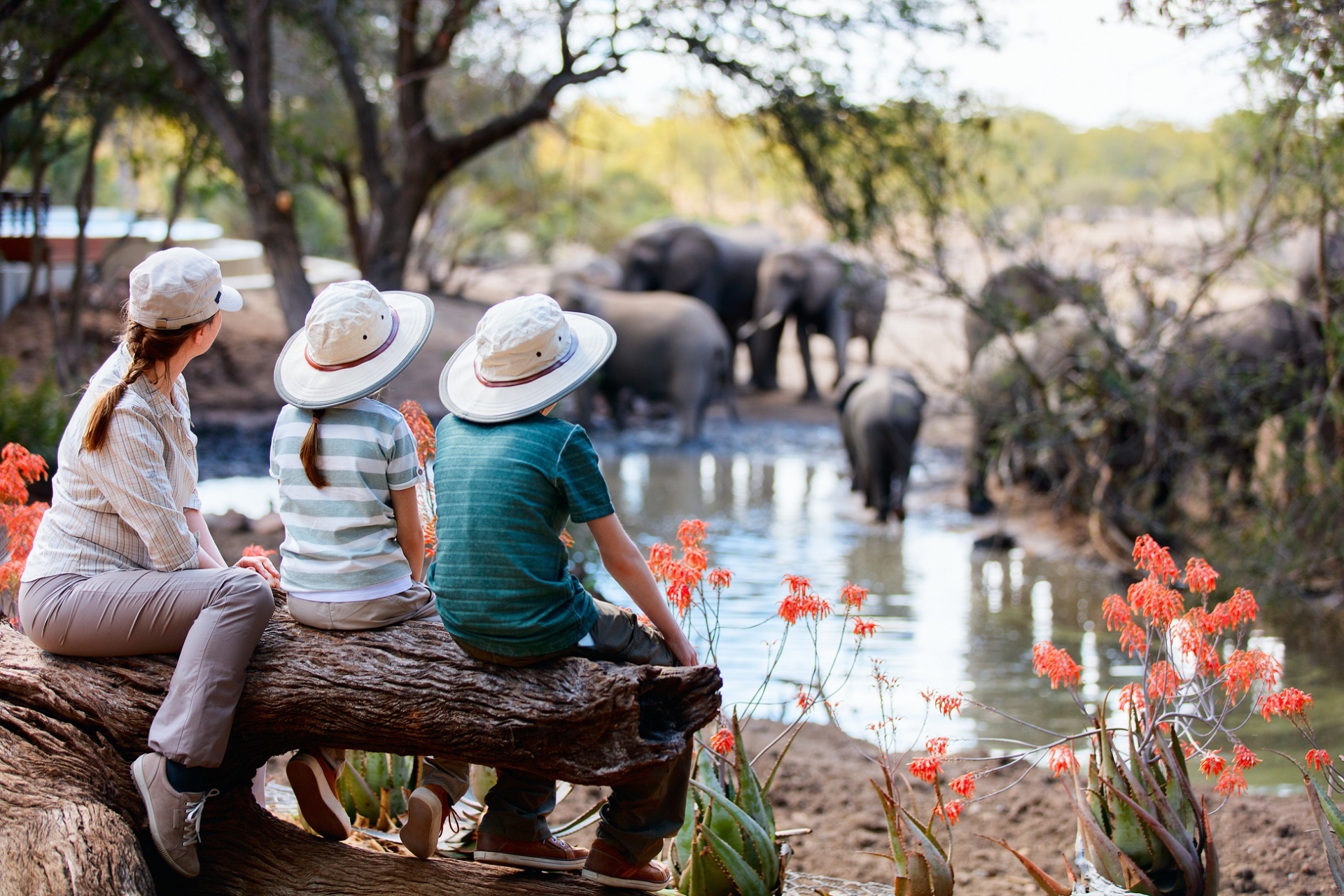 famille safari elephants devant lac tanzanie