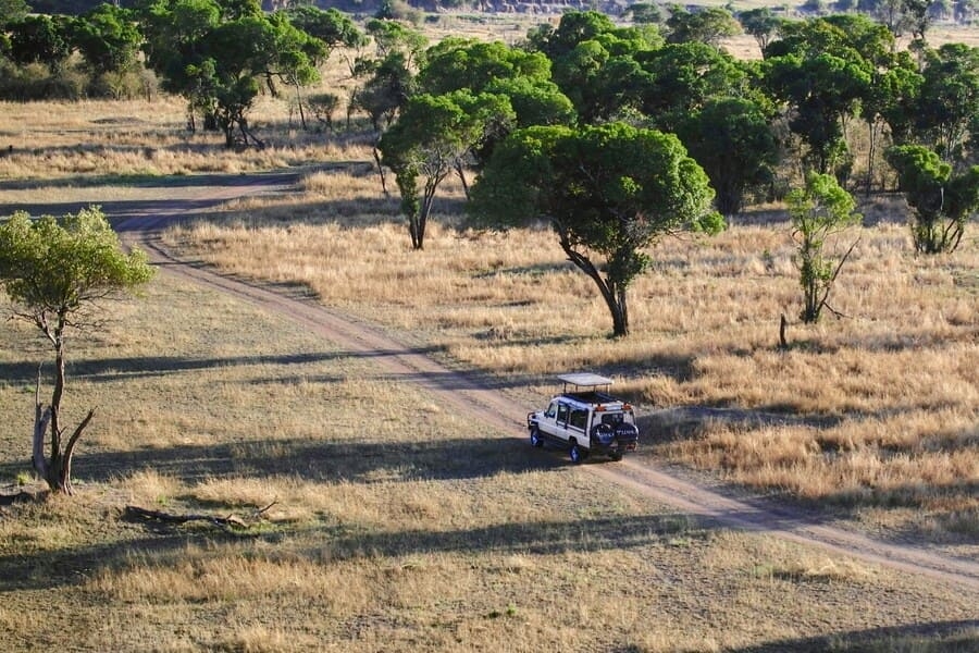 Safari en Tanzanie