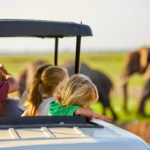 Tanzanie en famille : du Ngorongoro aux plages de Zanzibar