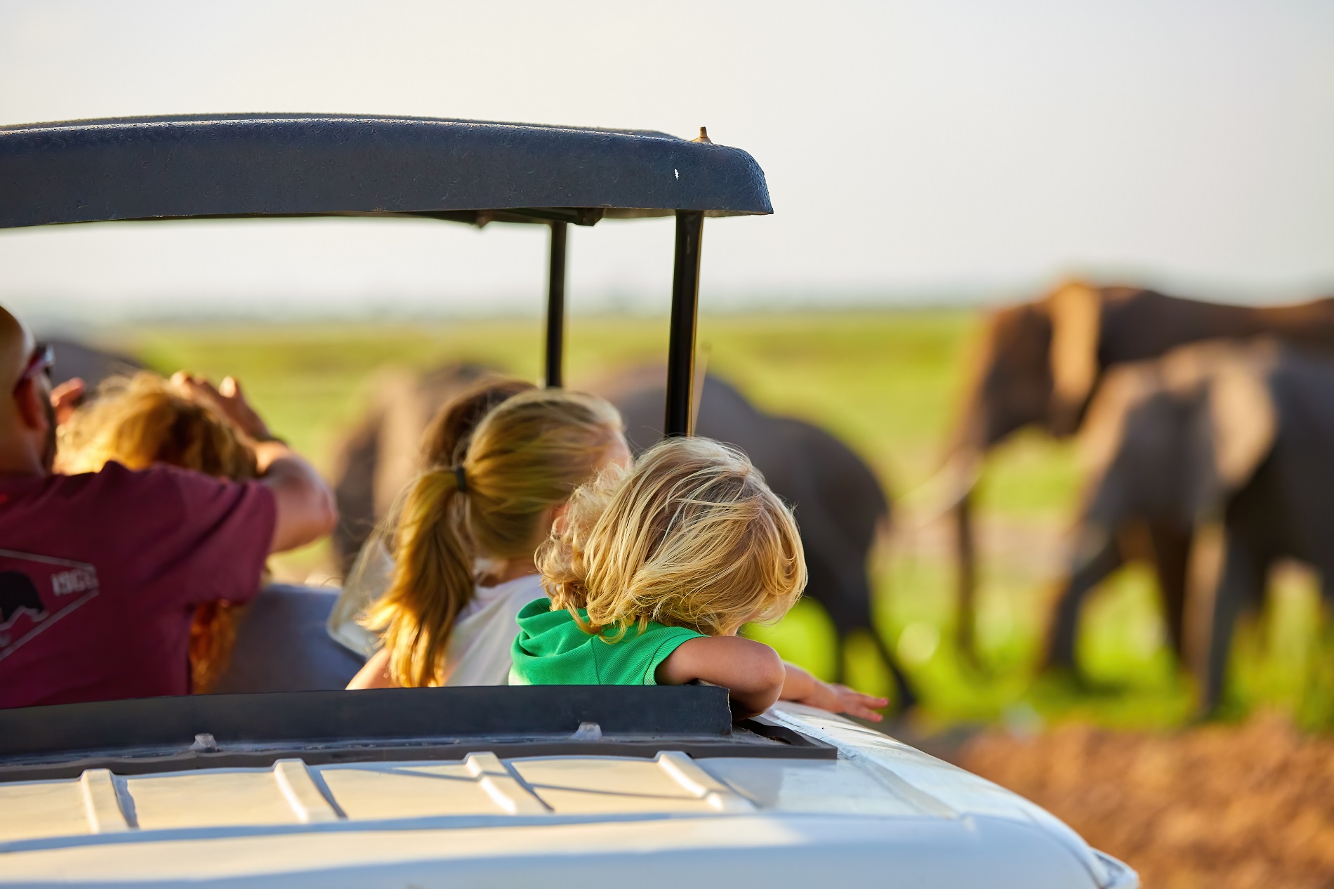 safari tanzanie avec bebe 2 ans