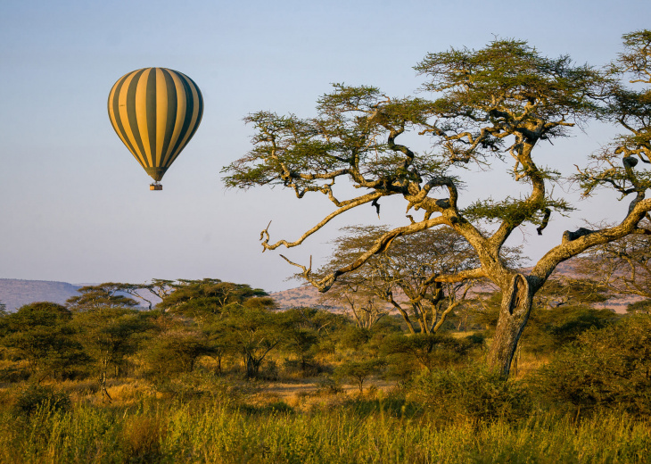 montgolfiere-serengeti-tanzanie