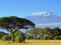 Kilimanjaro