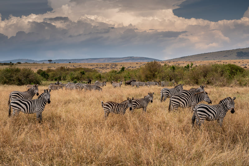 Ngorongoro Karatu