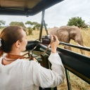 safari femme photo elephant