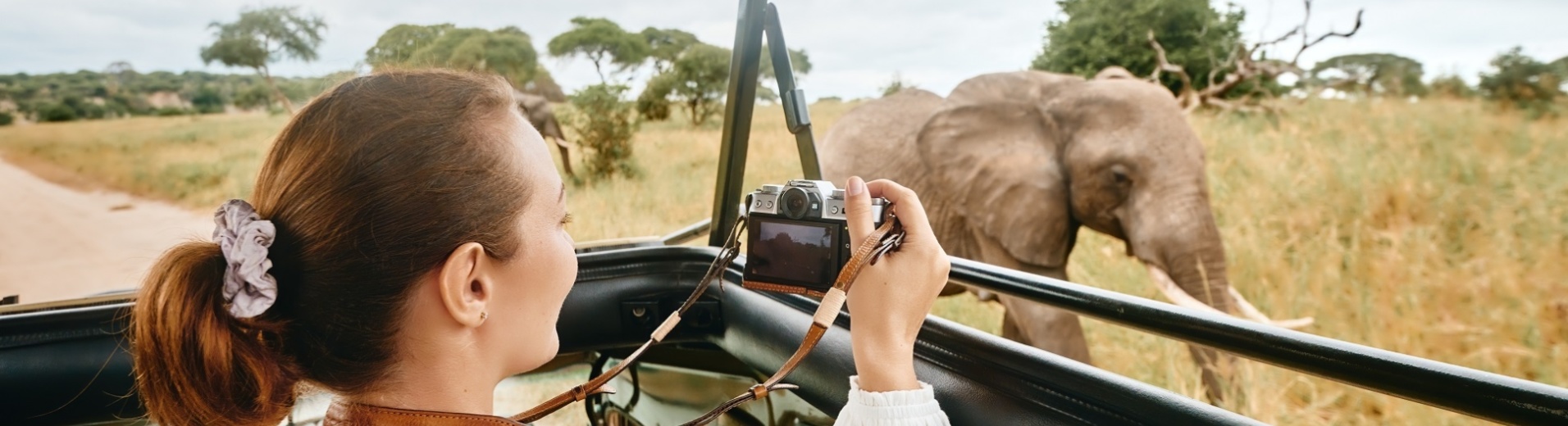 safari femme photo elephant