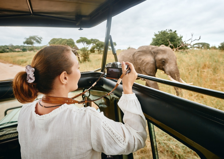 safari femme photo elephant