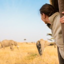 elephants safari tanzanie