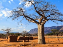 huttes-africaines-masai-mara