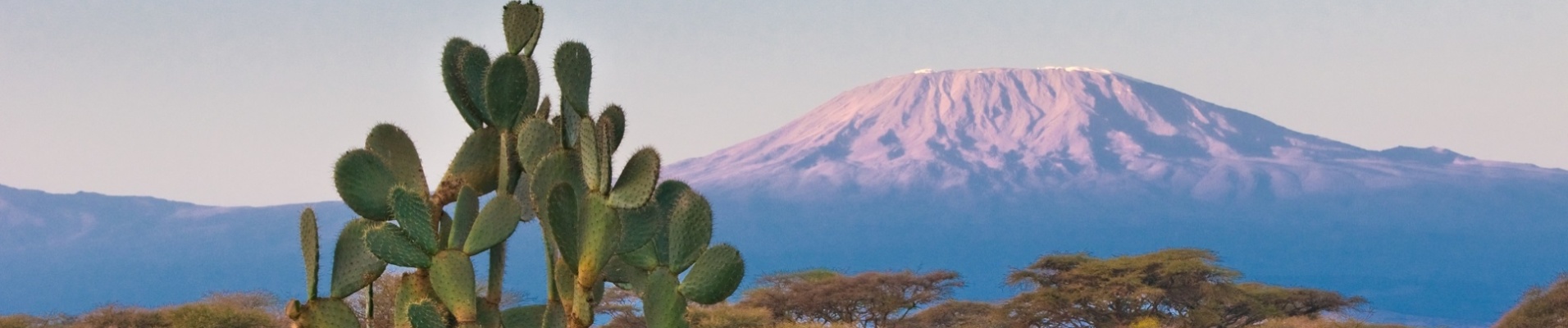 kilimandjaro savane tanzanie