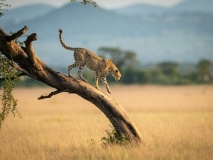 Parc National d’Amboseli