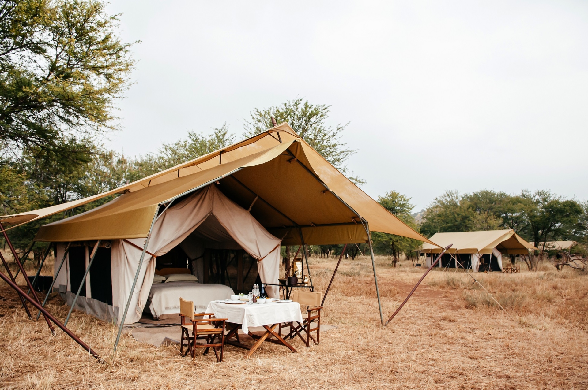 lodge tanzanie