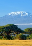 Parc amboseli tanzanie