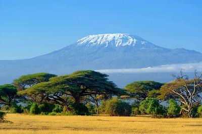Parc amboseli tanzanie