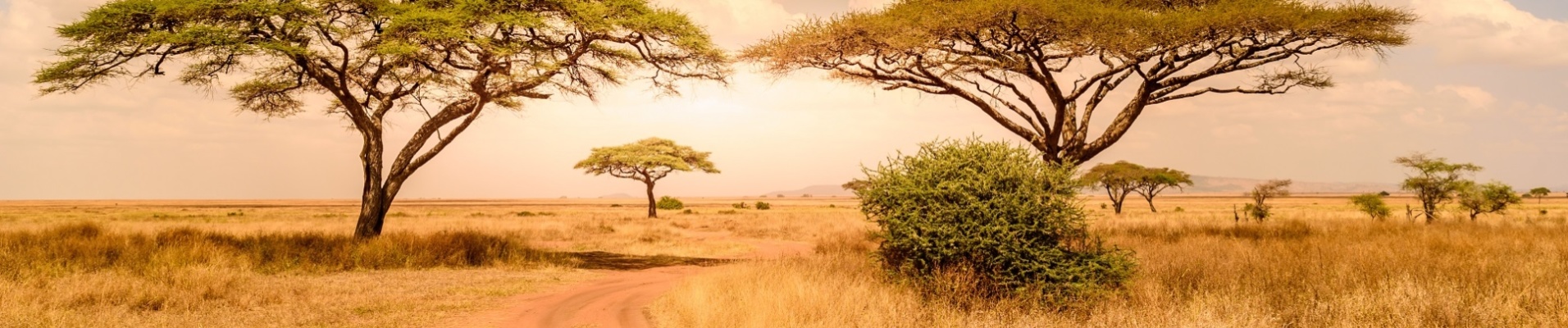 parc serengeti tanzanie