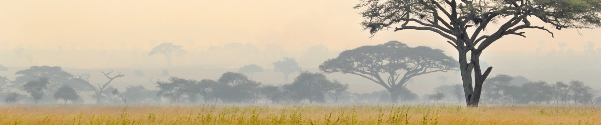 paysage tanzanie