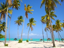 Plage à Zanzibar