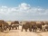 safari elephants tanzanie