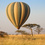 safari mongolfiere serengeti