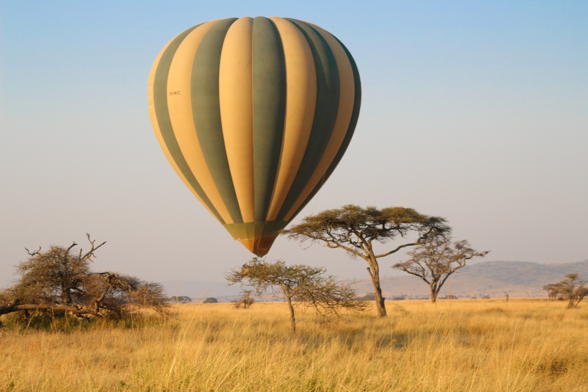 safari mongolfiere serengeti