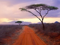 Parc National de Tsavo