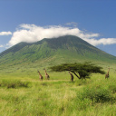 ngorongoro-tanzanie-avis