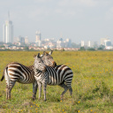 Nairobi