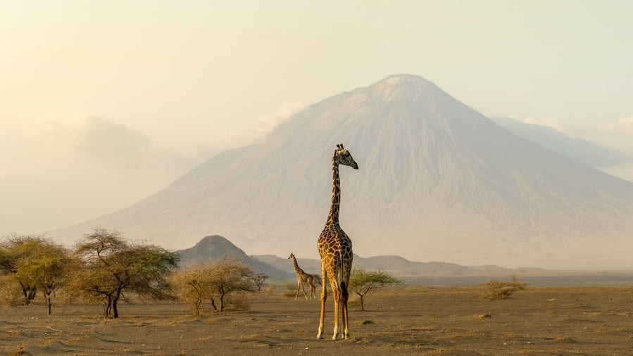 ngorongoro-tanzanie