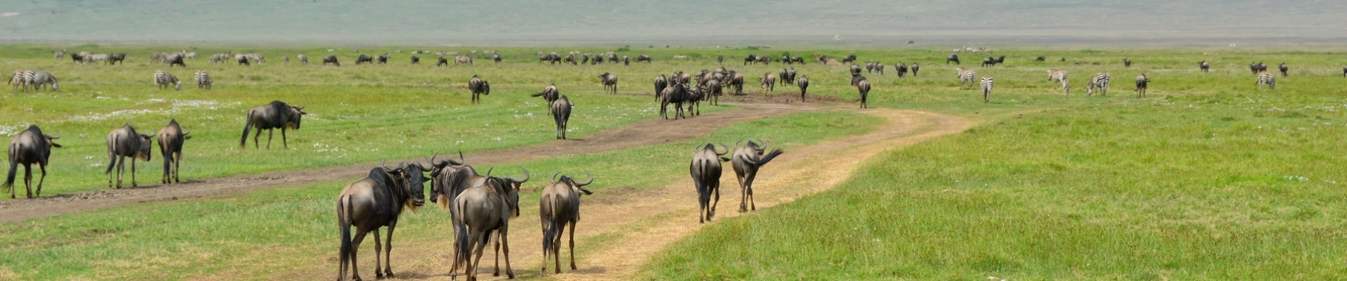 tanzanie-lexique