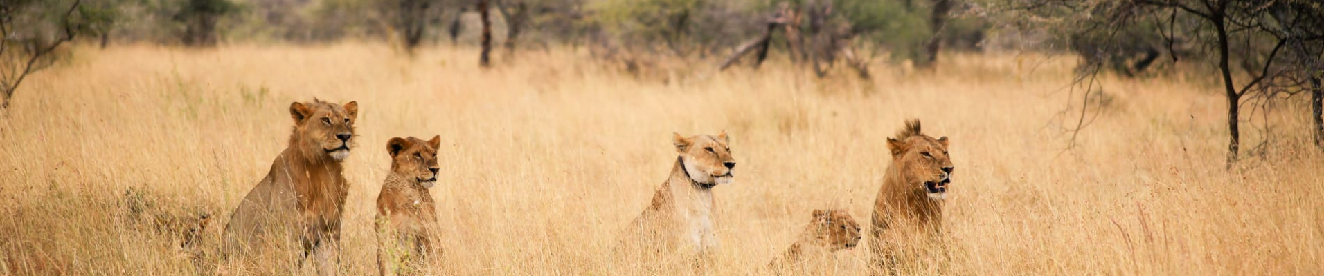 Tout savoir sur la Tanzanie