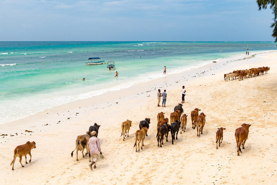 zanzibar